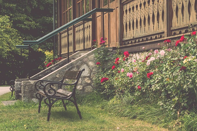 心與芝加哥 心與芝加哥