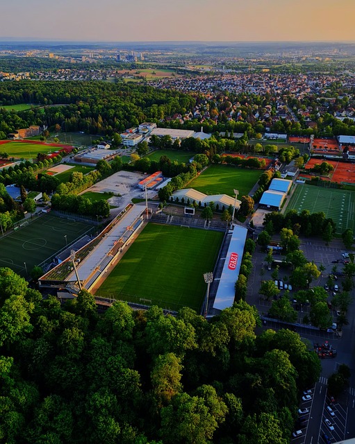 的举办地 的举办地