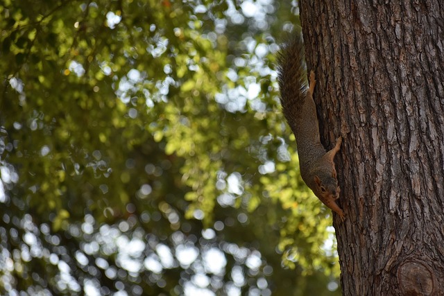 海双雄的困 海双雄的困