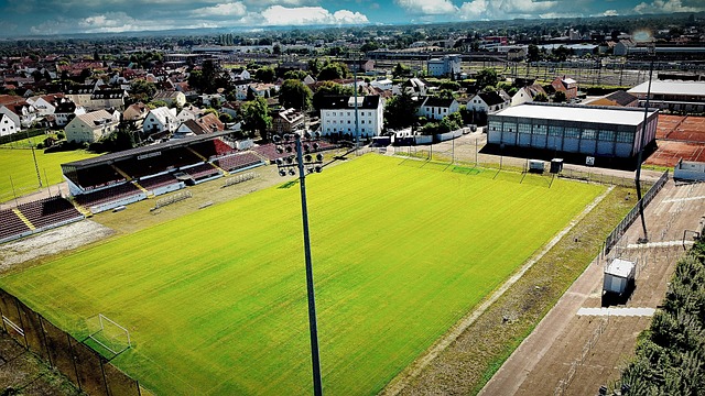仅展示了球 仅展示了球