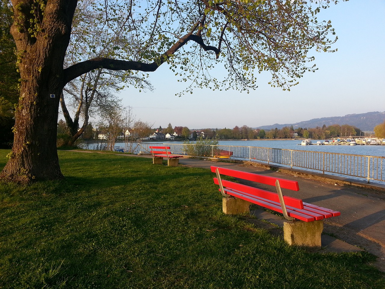 体育明星的 体育明星的